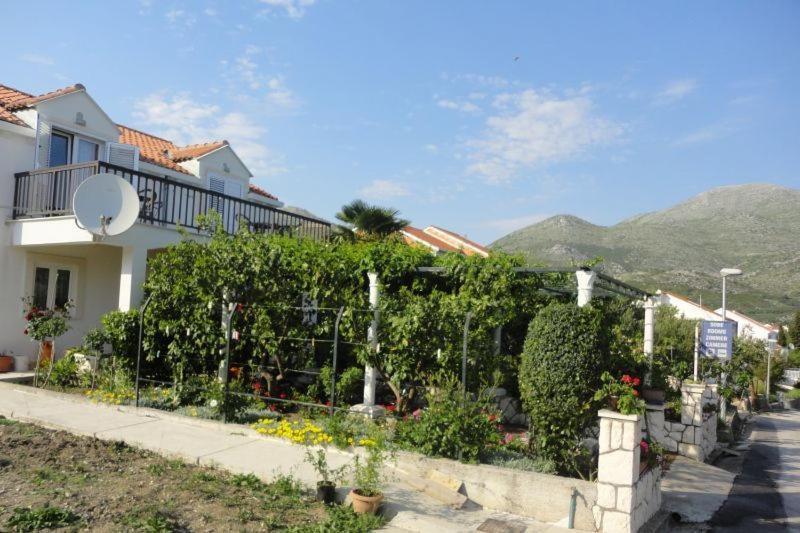 Guest House Pavkovic Slano Exterior foto