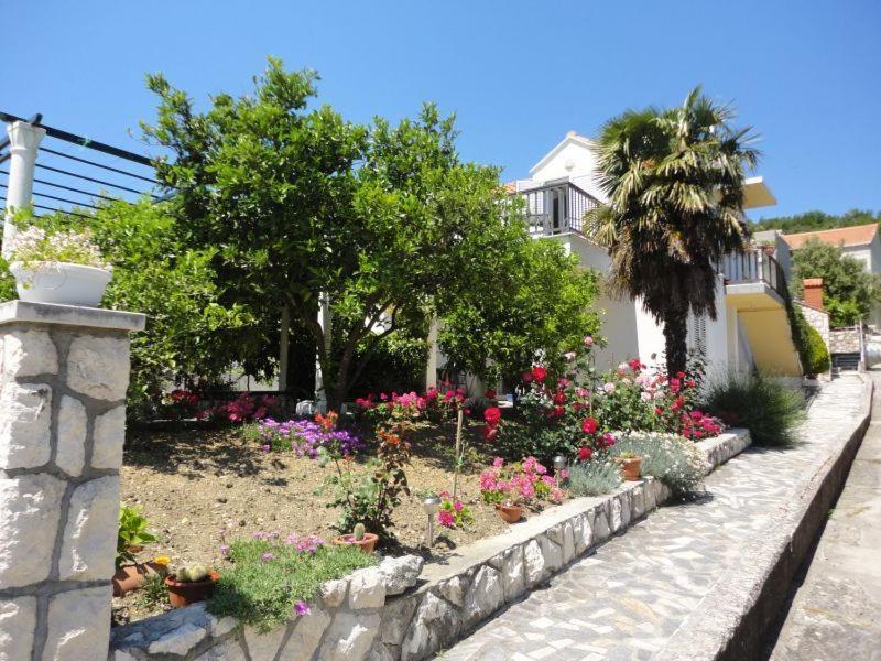 Guest House Pavkovic Slano Exterior foto